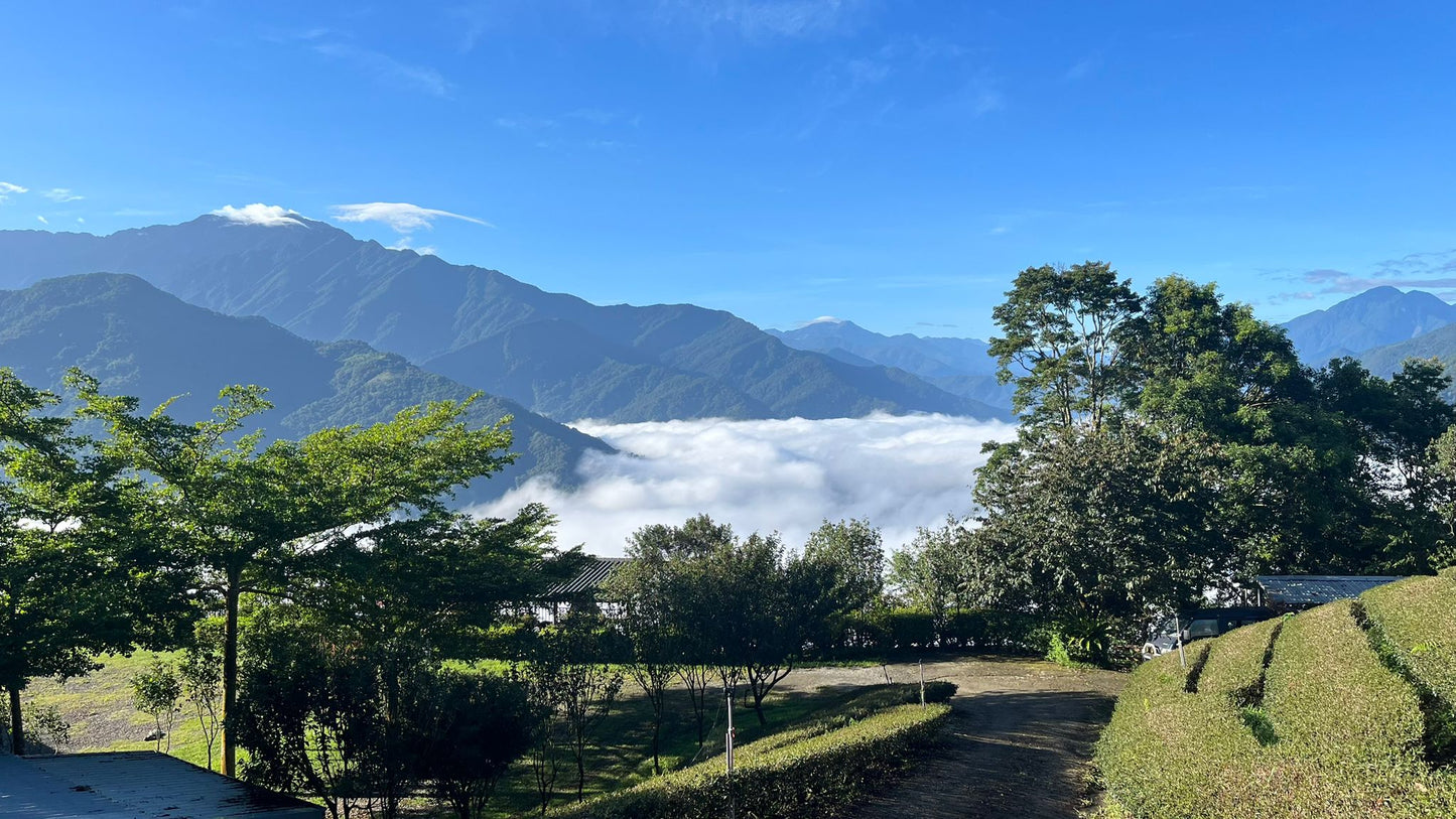 【旅行團】台中雲海露營採茶體驗5天休閒美景之旅