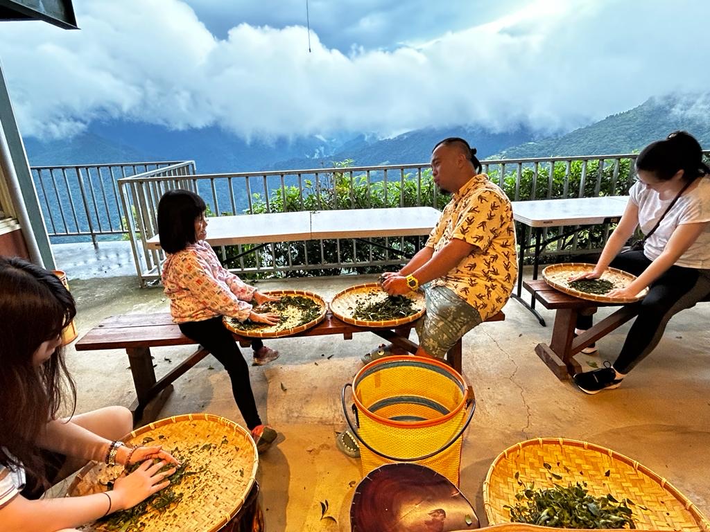 【旅行團】台中雲海露營採茶體驗5天休閒美景之旅