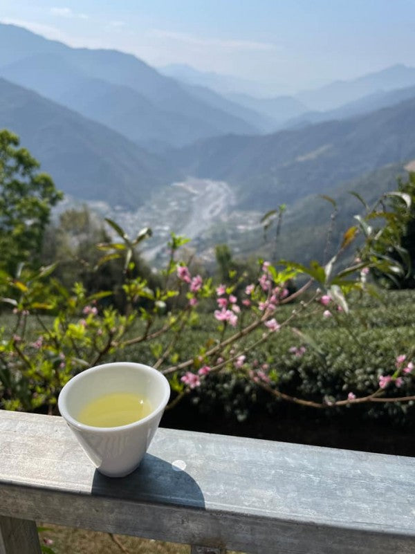 【旅行團】台中雲海露營採茶體驗5天休閒美景之旅