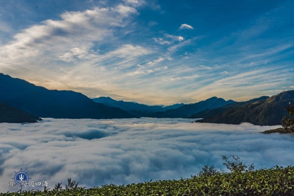 【旅行團】台中雲海露營採茶體驗5天休閒美景之旅